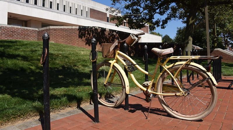 education-bike